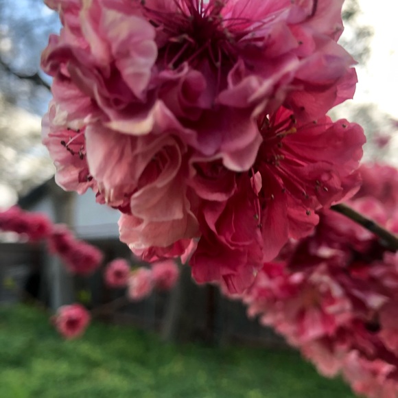 Values when Purchasing - Picture 3 of 5